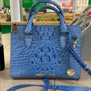 Blue Brahmin purse